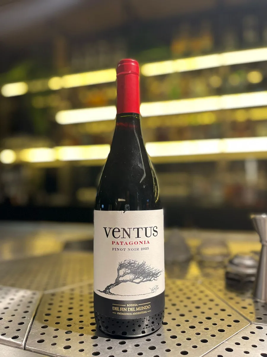 BODEGA VENTUS PINOT NOIR