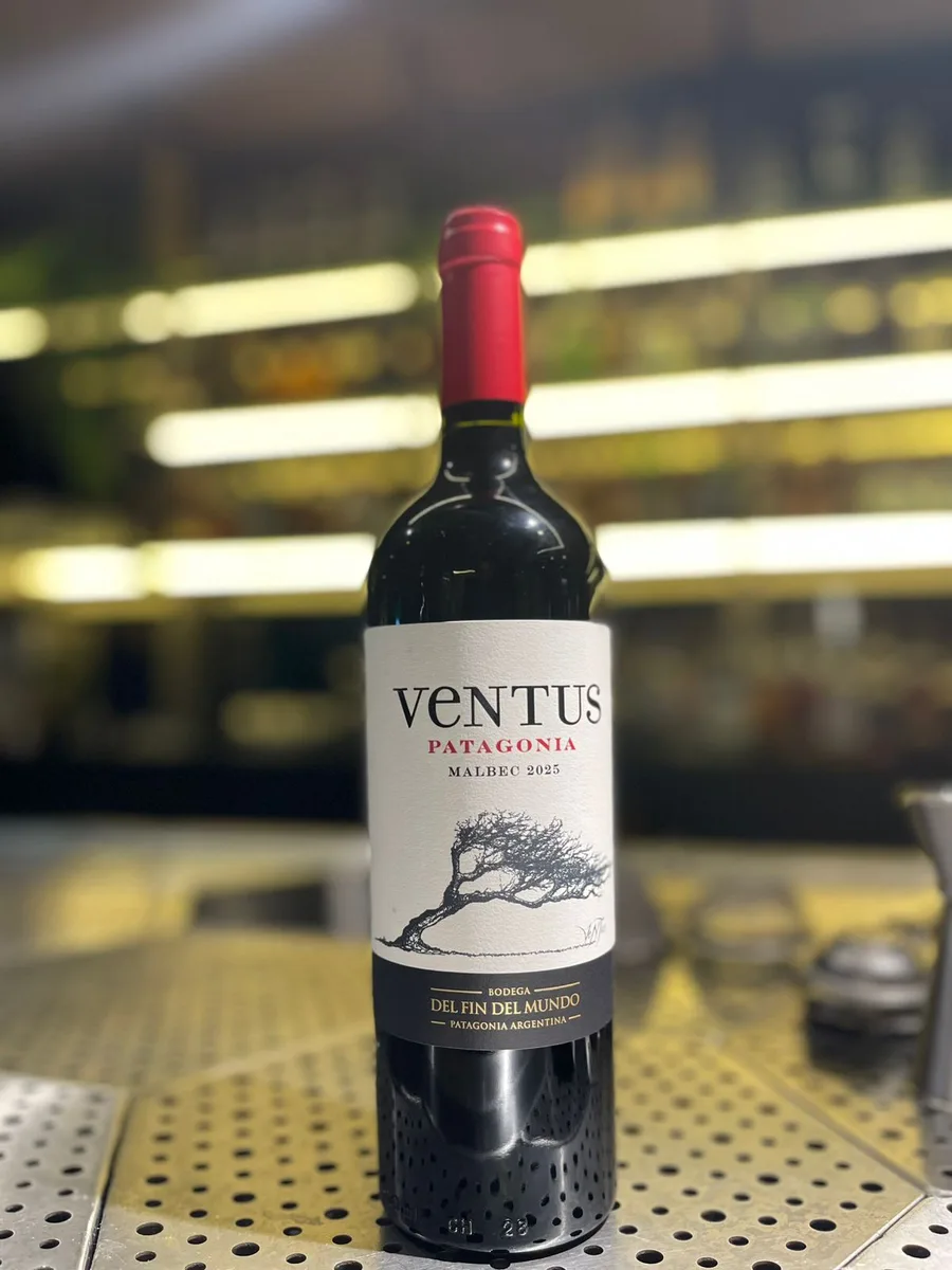 BODEGA VENTUS MALBEC